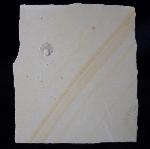 Loboidothyris sp. BUCKMAN 1917 - Bild &copy; FossNet FossilienStore